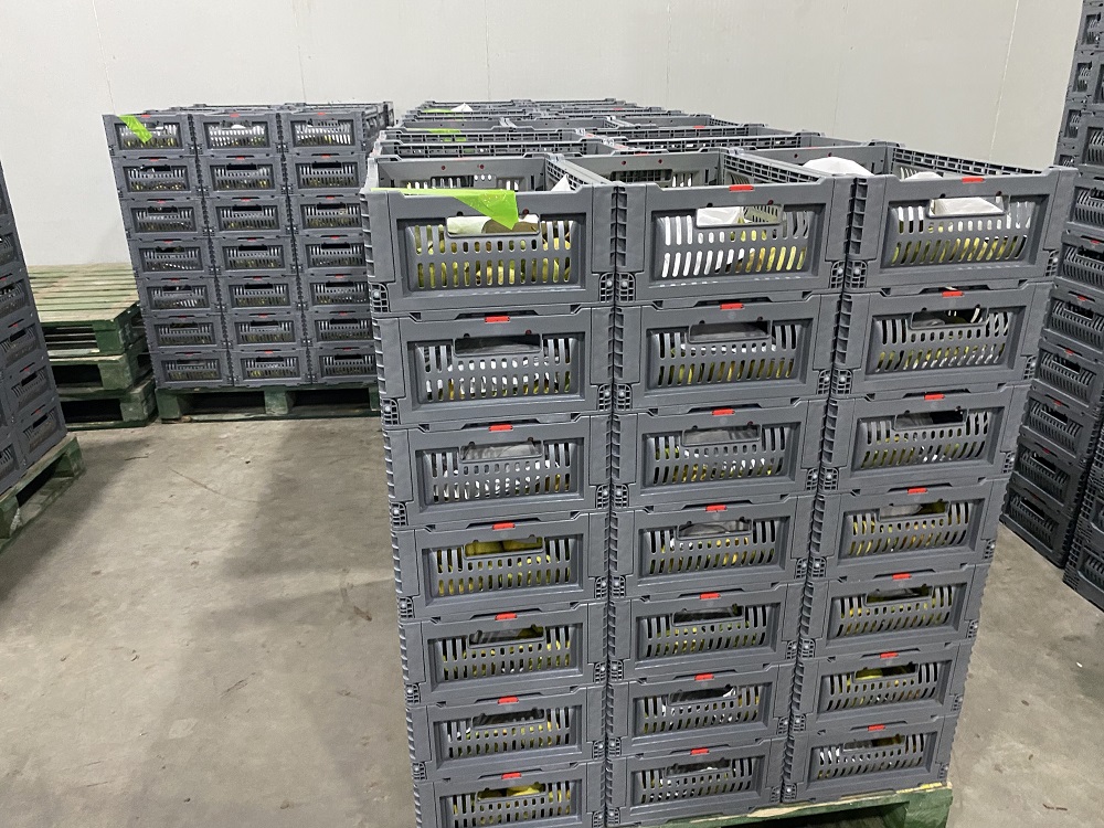 Stapelbare Kunststoffkisten für Obst und Gemüse