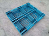 1200 x 1000 stapelbare Standard-Gabelstaplerpaletten aus recyceltem Kunststoff