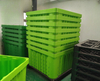 Großbehälter aus Kunststoffpaletten