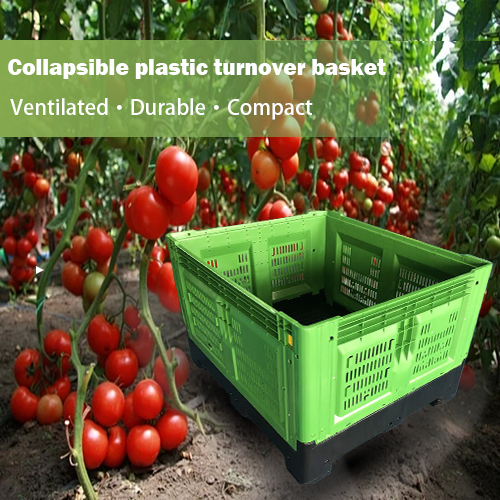 Bedarfsanalysebericht für Kunststoffpaletten und -kisten im Agrarsektor Südamerikas und Mexikos