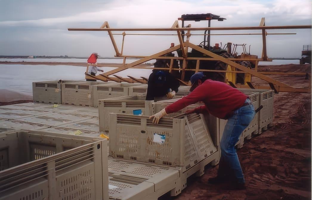 klappbare Erntebeh&auml;lter